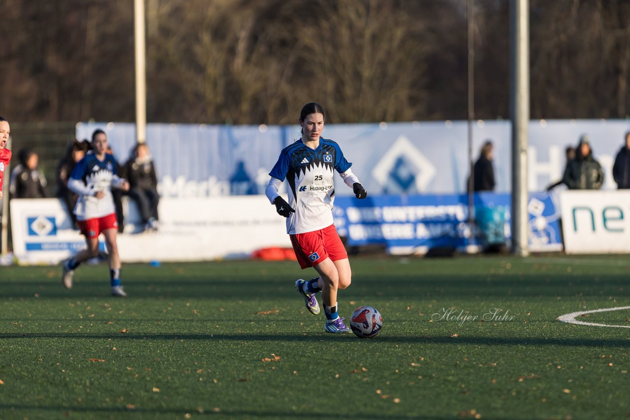 Bild 253 - wBJ Hamburger SV - Holstein Kiel : Ergebnis: 8:0